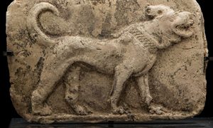 Arqueólogos de la Universidad de Durham dicen que humanos y perros son amigos desde hace 23,000 años