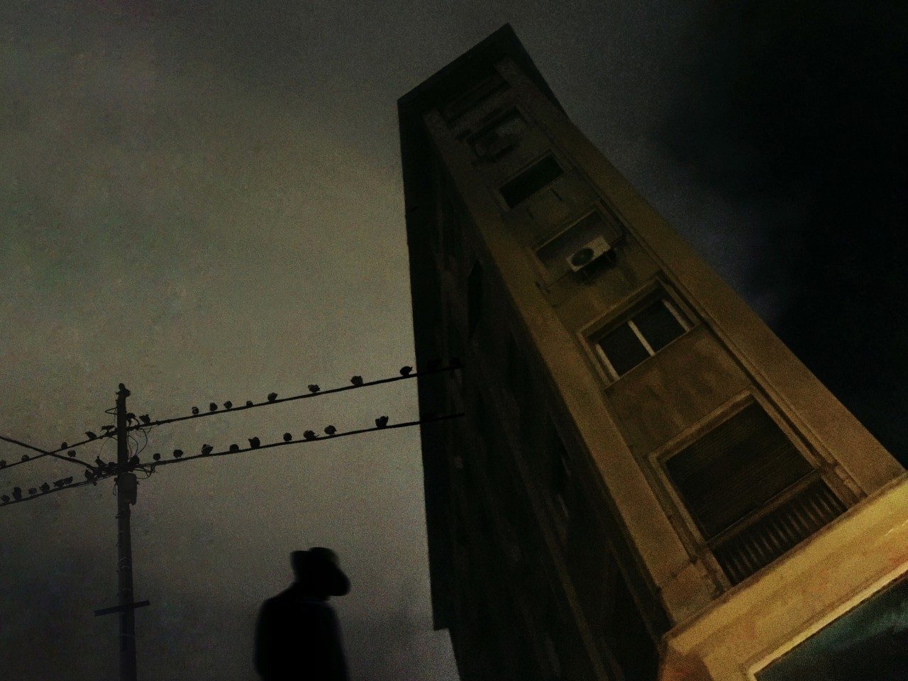 estos son ganadores mobile photography awards 2021 descarga  10