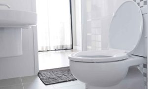 Imagen de un inodoro