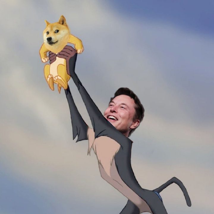 Elon Musk, meme dogecoin