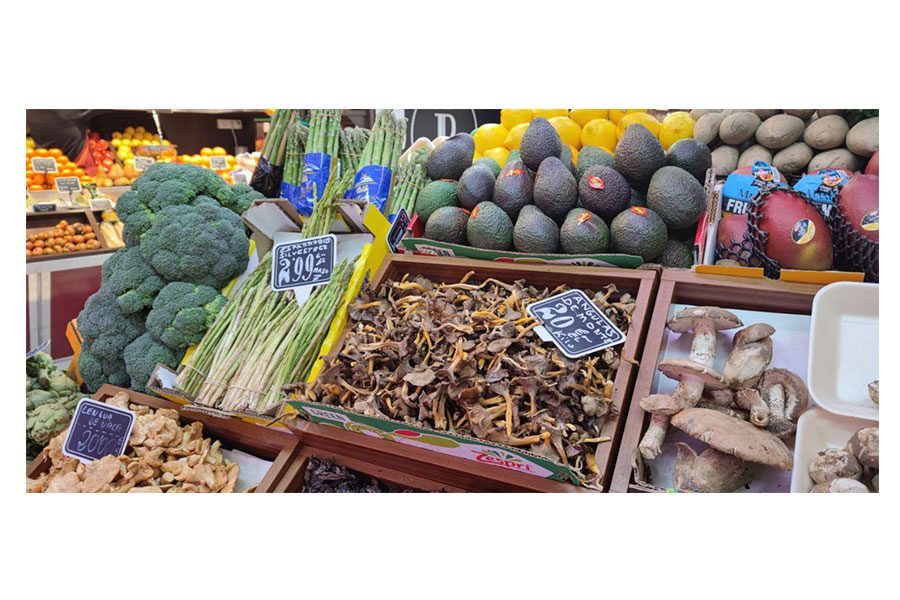 Xiaomi Mi 11 Automatico