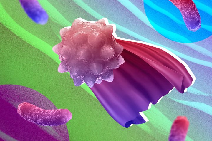 Una ilustración de las superbacterias, una de las principales amenazas para la salud pública