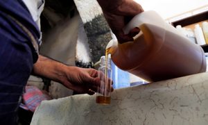 Un residuo del aceite de la producción del aceite de sésamo sería clave para prevenir el desarrollo de parkinson