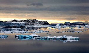 tasmania calentamiento peninsula antartica pen  nsula ant rtica