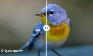 Una comparativa sobre la calidad del almacenamiento de imagen de Google Fotos