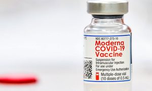 vacuna moderna publicada github