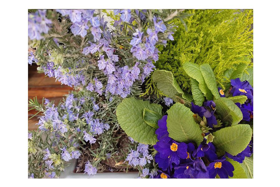 Xiaomi Redmi Note 10