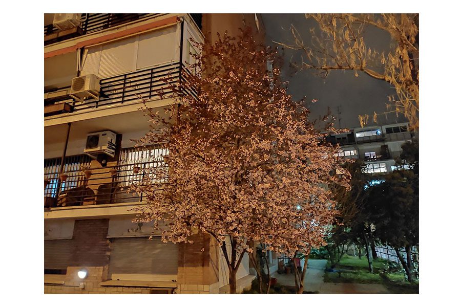 Xiaomi Redmi Note 10