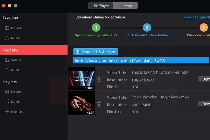 Pantalla de reproducción de 5KPlayer