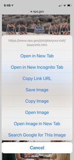 Cómo hacer una búsqueda inversa de imágenes en Google Chrome 4