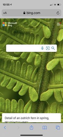 Cómo hacer una búsqueda inversa de imágenes en Bing 1