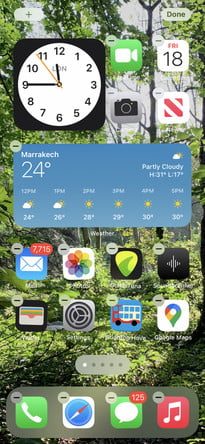 Pantallas con diferente localización de un mismo widget 2