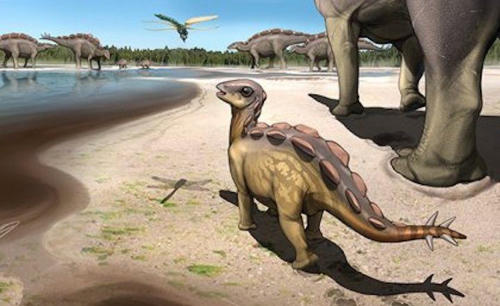 Paleontólogos encuentran en China la huella más pequeña de estegosaurio