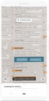Cómo hacer una búsqueda inversa de imágenes en Google Fotos 3