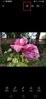 Cómo hacer una búsqueda inversa de imágenes en Google Lens 1