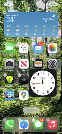 Pantallas con diferente localización de un mismo widget 1