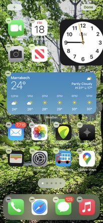 Pantallas con diferente localización de un mismo widget 3