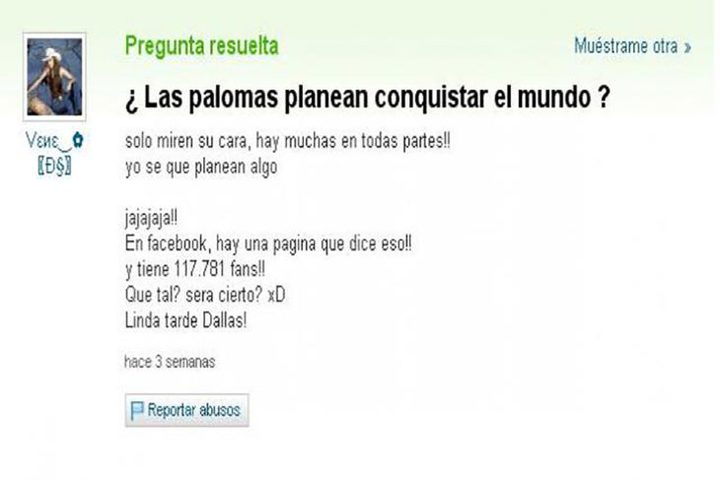 Una pregunta sobre una conspiración de palomas en Yahoo Respuestas