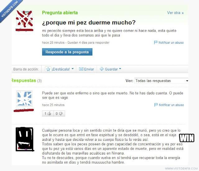 Una pregunta sobre un pez dormido en Yahoo Respuestas