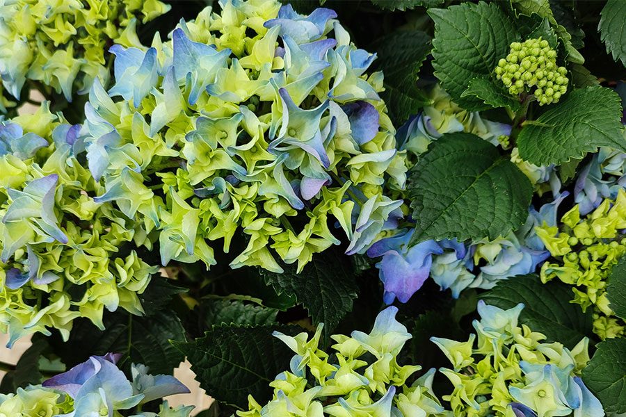 xiaomi redmi note 10 pro diseno pantalla camara revision review redminote10