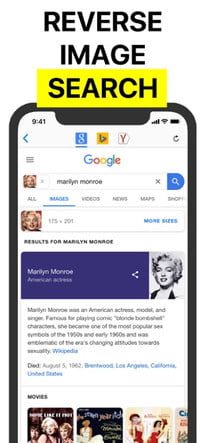 Cómo hacer una búsqueda inversa de imágenes en Reversee 1