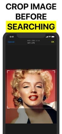 Cómo hacer una búsqueda inversa de imágenes en Reversee 2