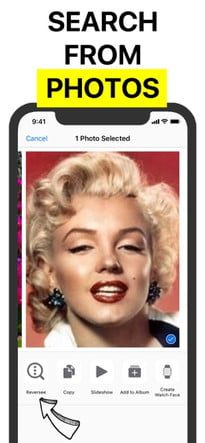 Cómo hacer una búsqueda inversa de imágenes en Reversee 3