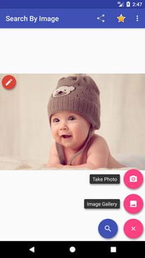 Cómo hacer una búsqueda inversa de imágenes en Search By Image 2