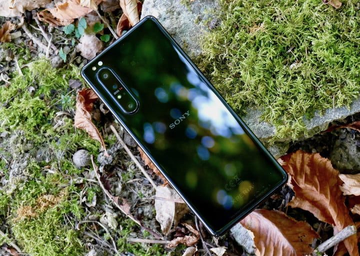 Sony Xperia 1 II sobre el piso de un bosque, uno de los mejores teléfonos para grabar videos