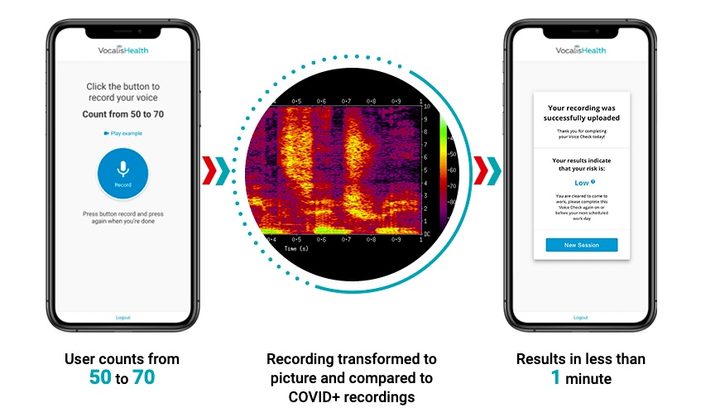 Así funciona la herramienta de Vocalis.