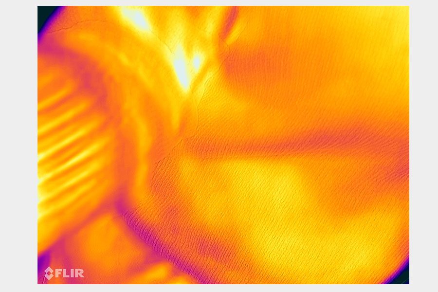 cat s62 pro review revision caracteristicas