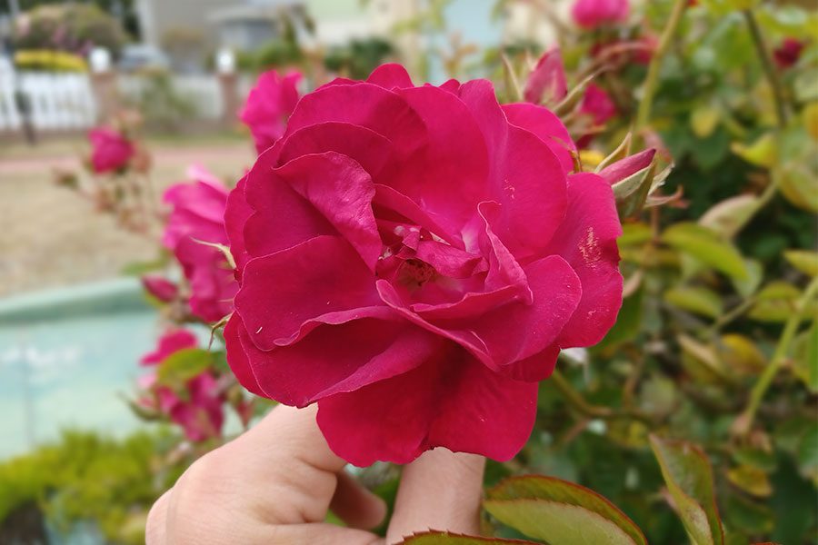 review galaxy a32 5g el mas barato con galaxya32 carrusel fotos 1