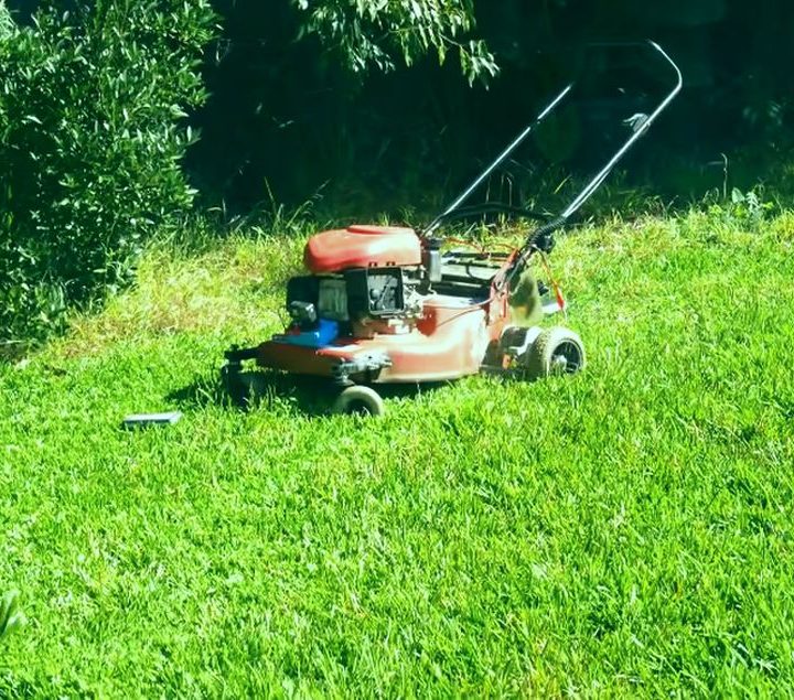 Podadora control remoto