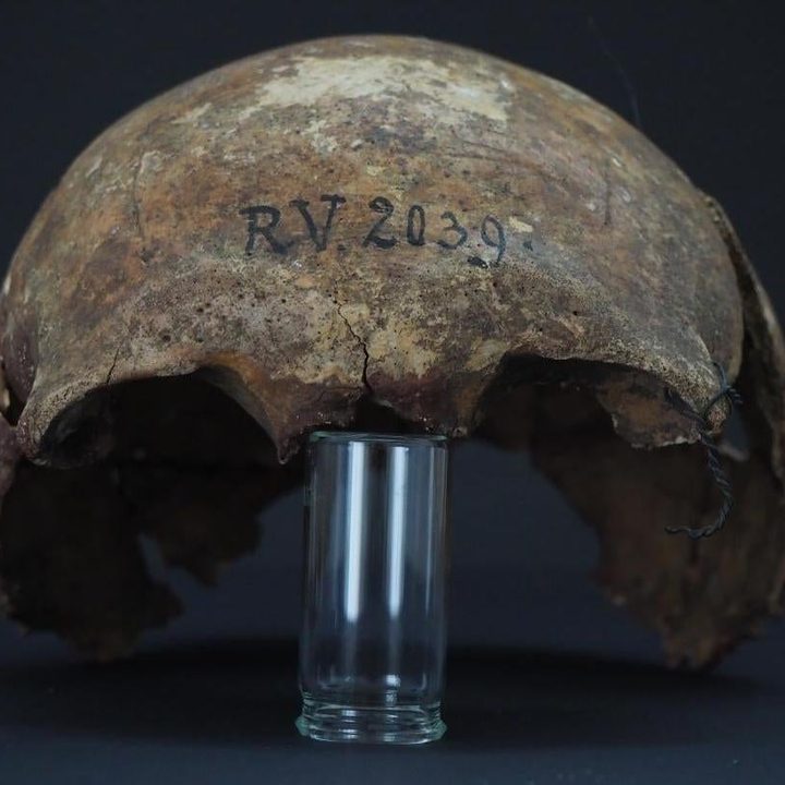 Cráneo de la primera víctima de peste de la historia