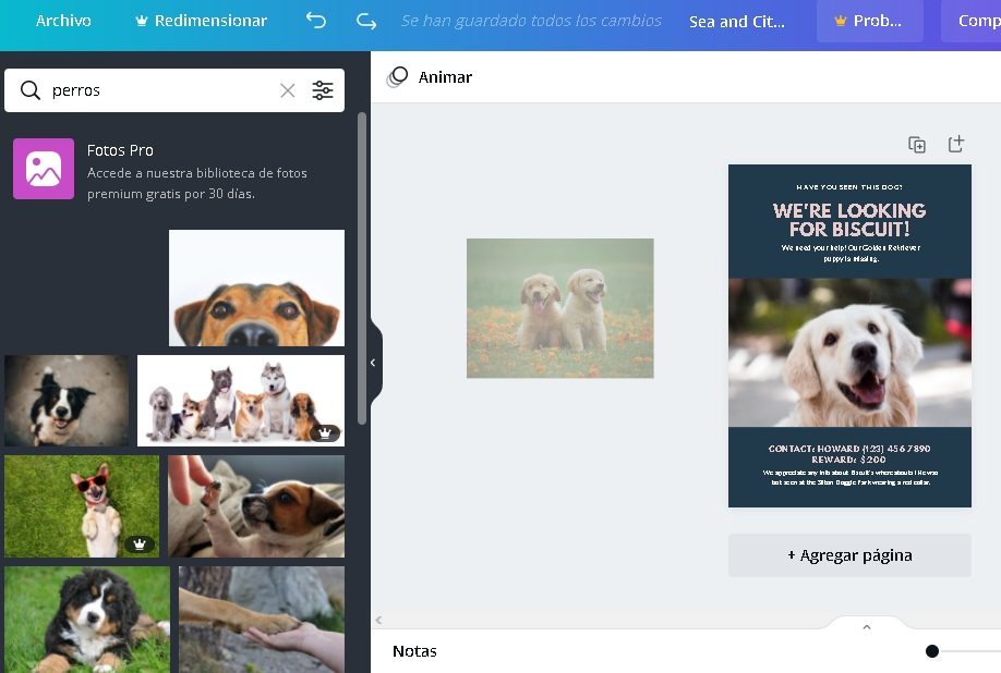 como disenar canva reemplazar imagenes 2