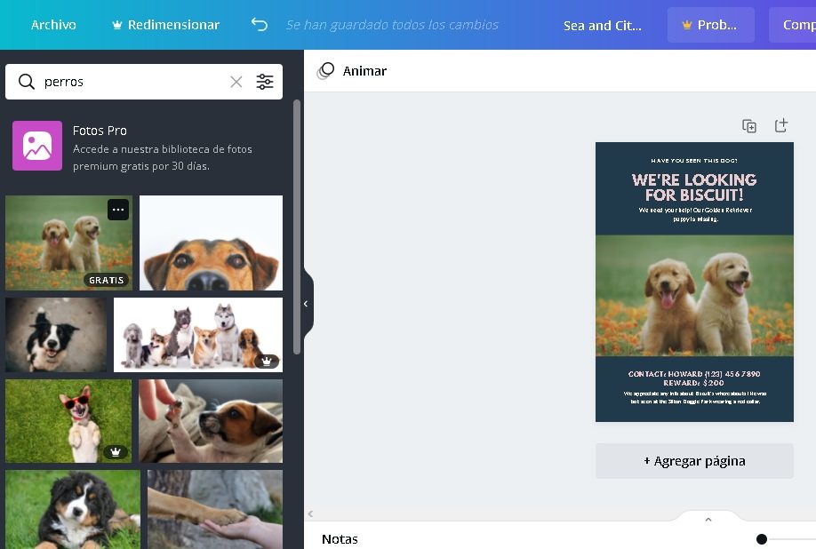 como disenar canva reemplazar imagenes 3