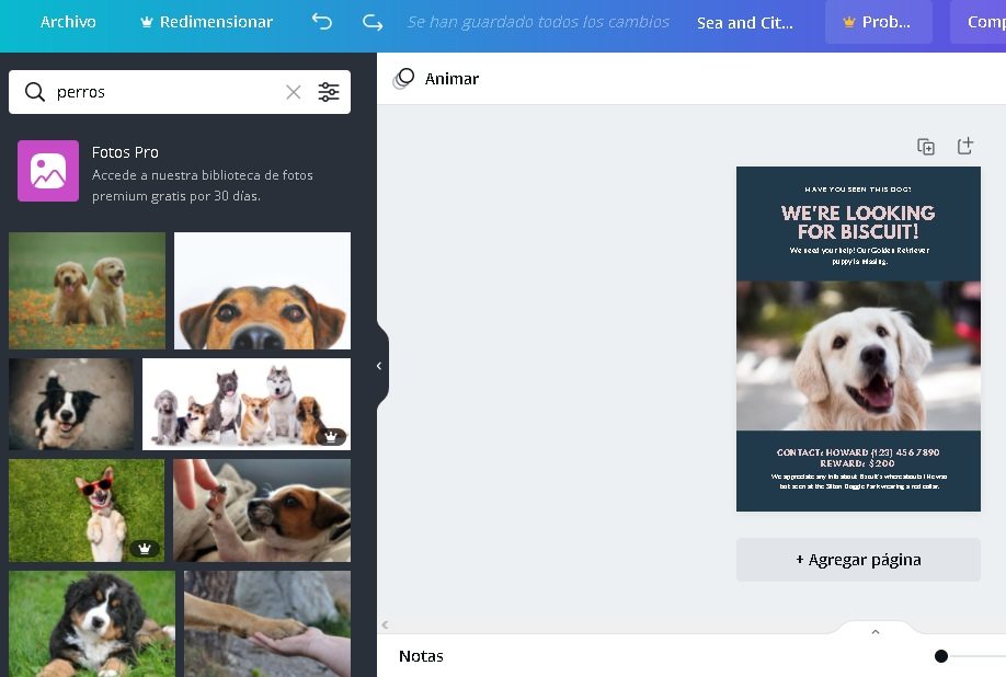 como disenar canva reemplazar imagenes