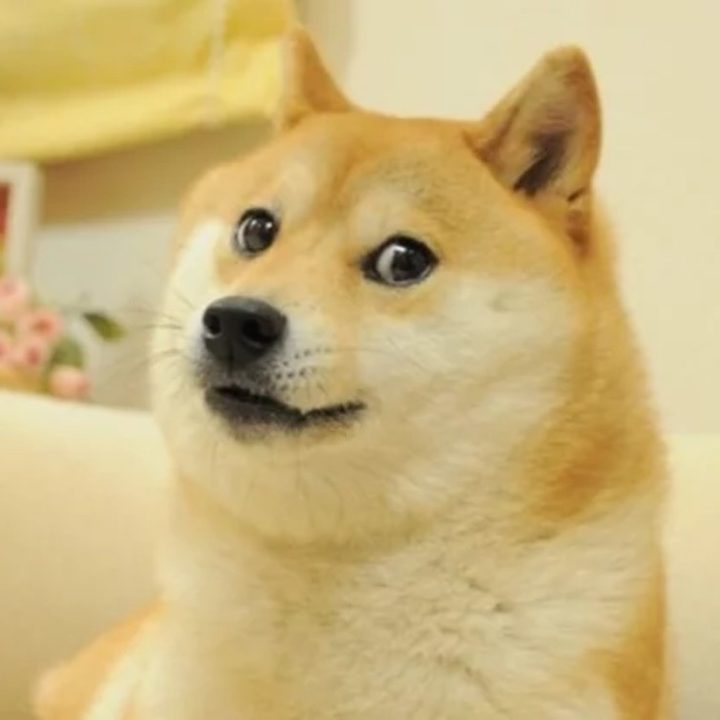 Meme DOGE