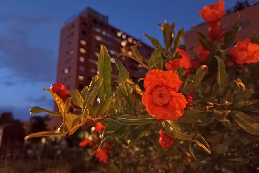 Xiaomi Redmi Note 10S