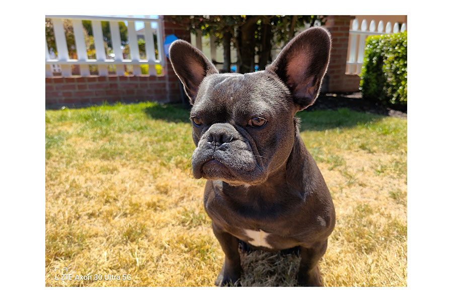 ZTE Axon 30 Ultra 5G