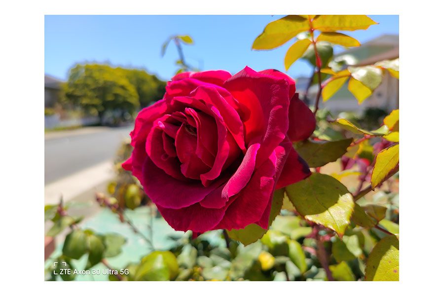 ZTE Axon 30 Ultra 5G