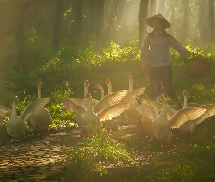 Así es el pueblo falso que China creó para presumir en Instagram