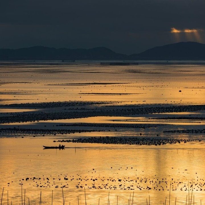 Este dron gigante era usado para llevar droga a España