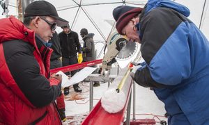 Descubren virus de 15 mil años en un glaciar tibetano
