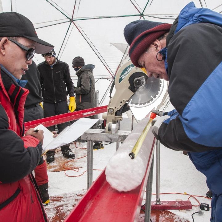 Descubren virus de 15 mil años en un glaciar tibetano
