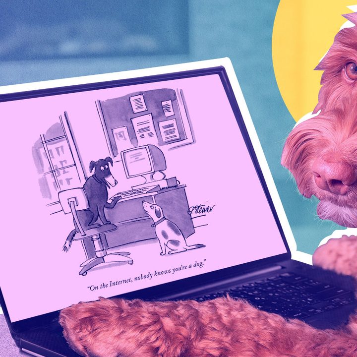 Una imagen alusiva a la viñeta "En Internet, nadie sabe que eres un perro"