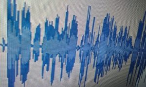 audacity spyware datos usuarios