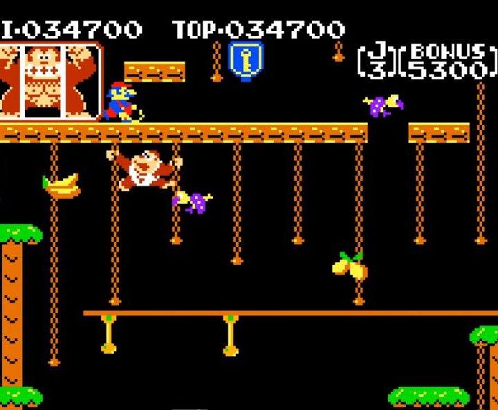 Donkey Kong Jr.