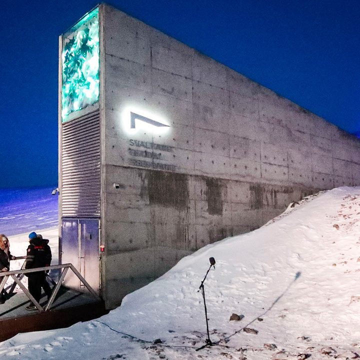 Una bóveda almacenará la "música del mundo" por mil años