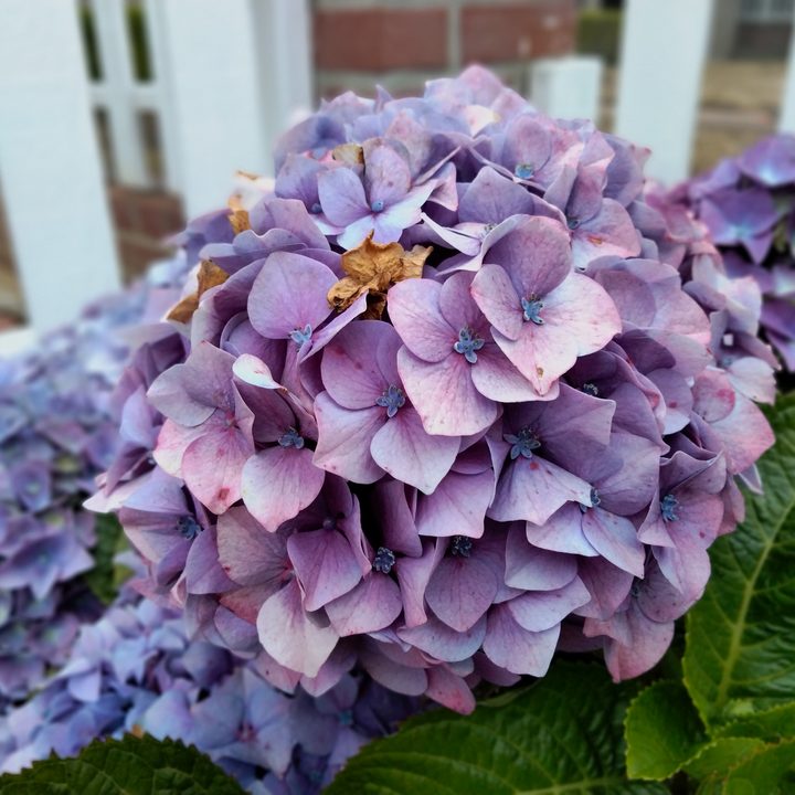 review oneplus nord n200 5g t mobile img 20210712 194536